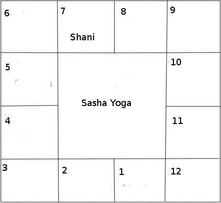 sasha yoga si